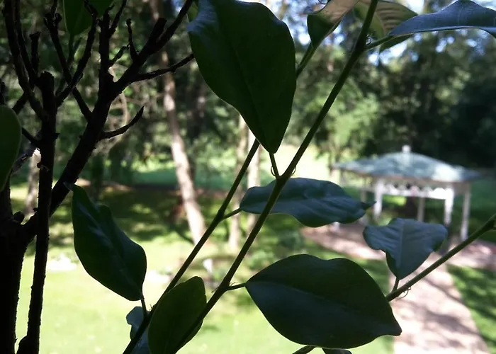 Hotel Zur Waldhufe 3*